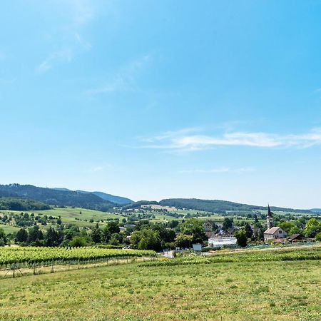Appartement Fewo Im Lenzengarten à Sulzburg Extérieur photo
