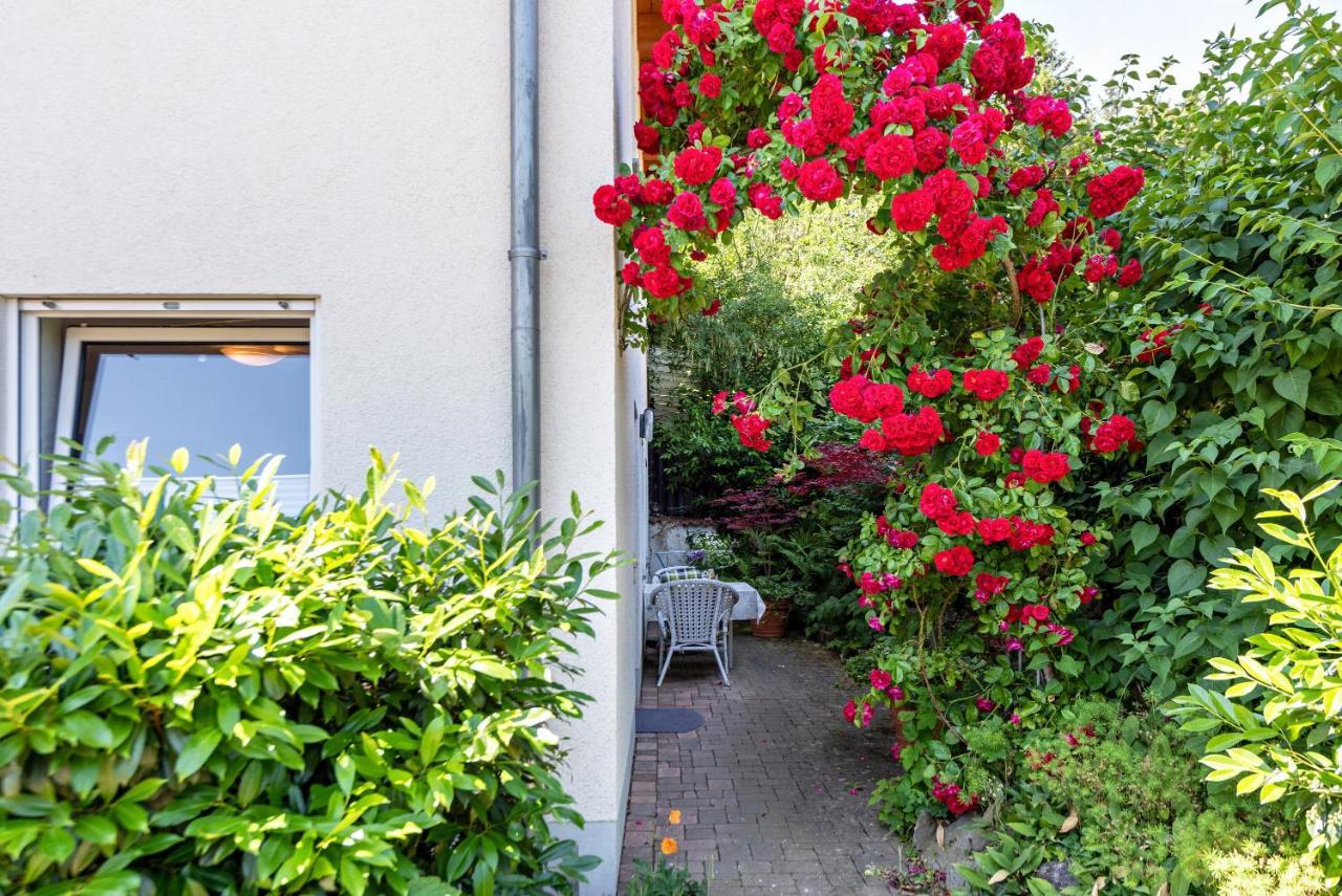 Appartement Fewo Im Lenzengarten à Sulzburg Extérieur photo