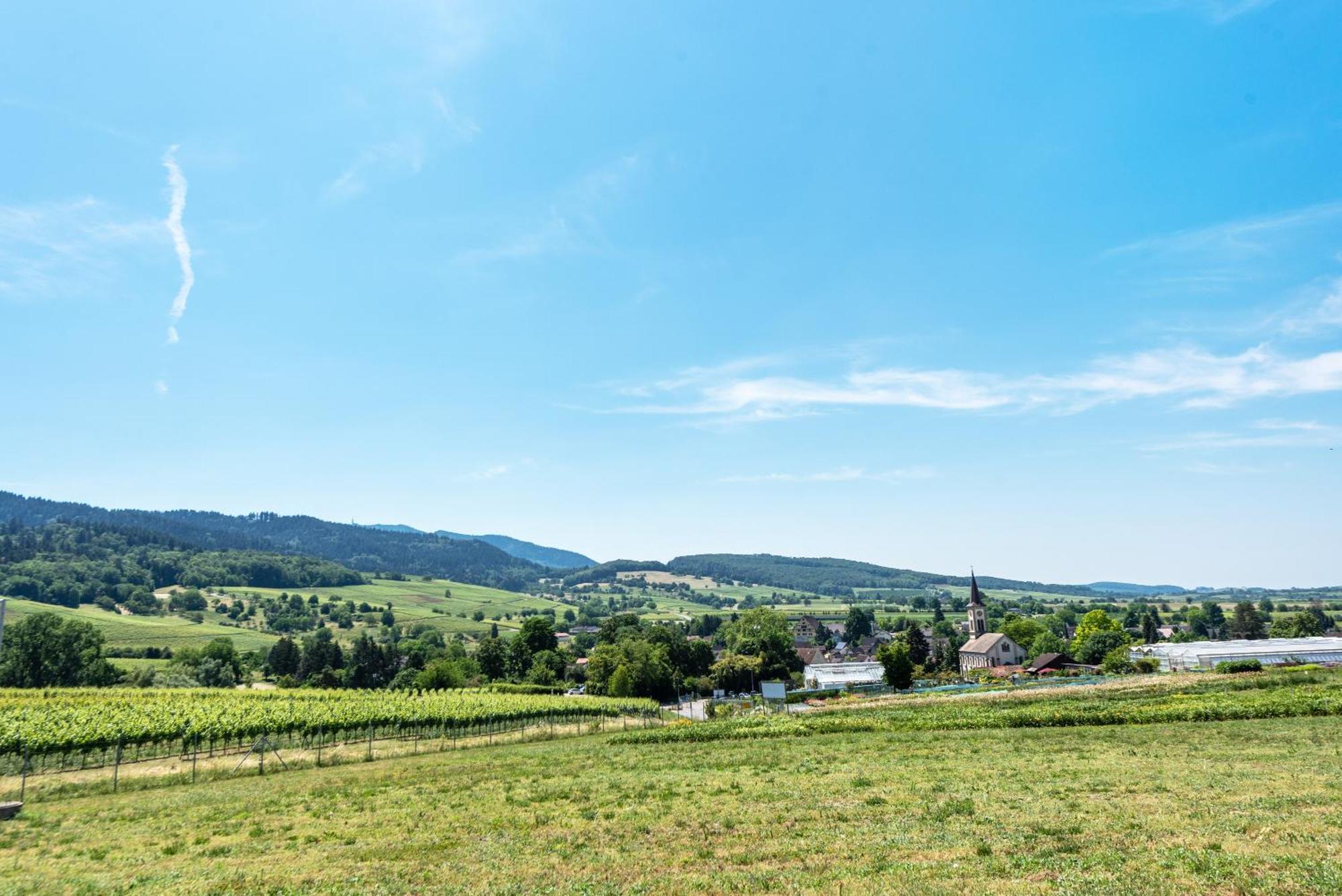 Appartement Fewo Im Lenzengarten à Sulzburg Extérieur photo